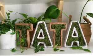 Litery "TATA" z mchu i sznurka, piękny prezent dla taty od dziecka z papieru.